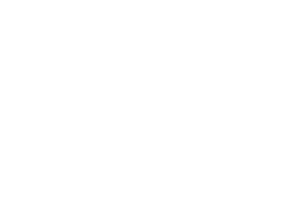 Stapenhill Fryer